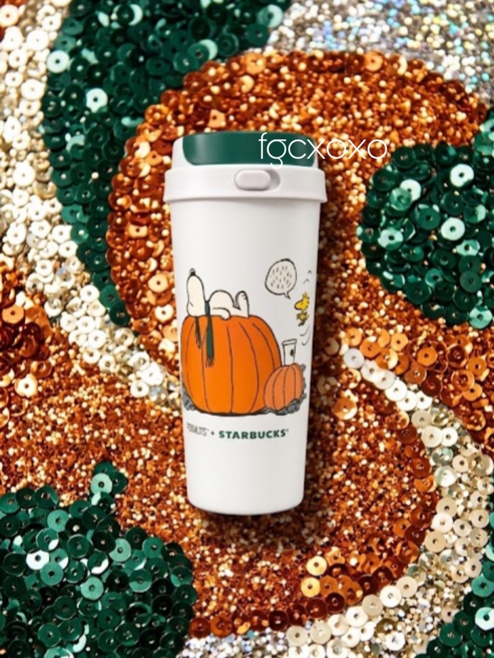 Peanuts + Starbucks Pumpkin Snoopy Woodstock 12 oz Tumbler w/box